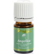 Angelica Essential Oil